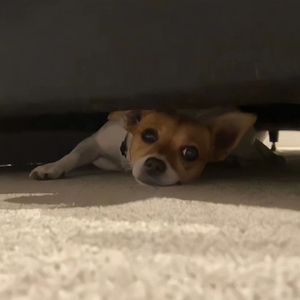 我不卡爱爱爱视频
