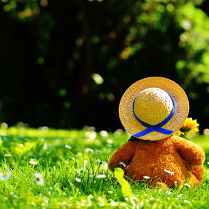 我不卡爱爱爱视频
