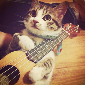 我不卡爱爱爱视频
